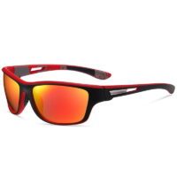Men's Cycling Sunglasses - Image 4